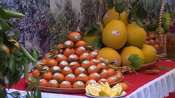 Tin Tức 24h: Ngày hội trái cây Lục Ngạn