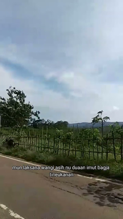 Emut Bae #shorts #storywa #story2023 #storywa30detik #viralshorts #viralvideo #tiktokviral