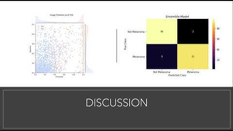BMEN489 Project 2 Presentation - Skin Lesion Classifier
