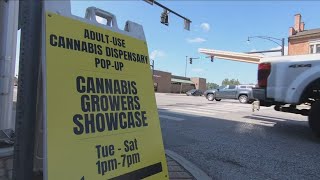 Cannabis pop up store in Batavia