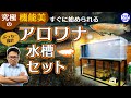 【究極の機能美】すぐに始められるアロワナ水槽セット！ぶっちーが設計しました