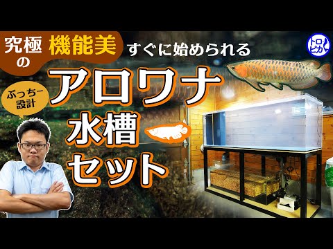 150cmカスタムアロワナ水槽セット｜選べるセットでプロ仕様のアロワナ 
