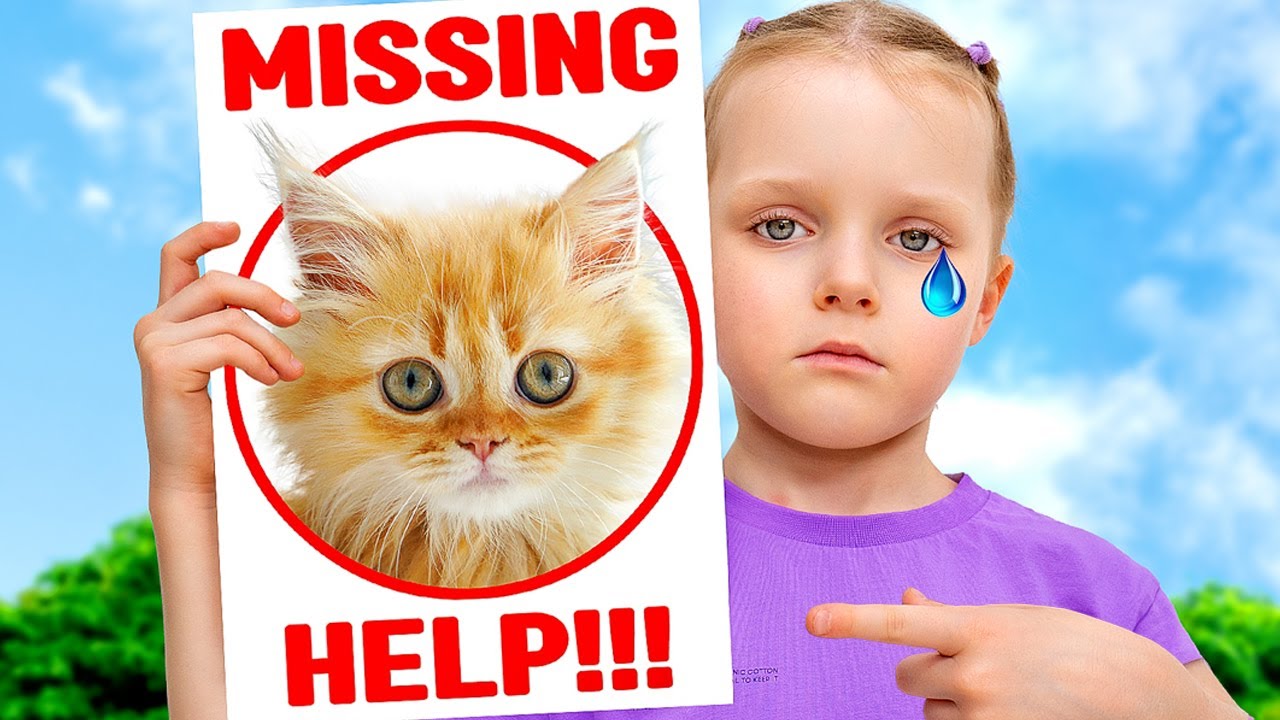 Cinq enfants ont perdu un chat