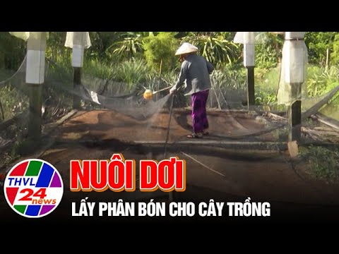 Video Nuôi dơi lấy phân bón cho cây trồng - youtube