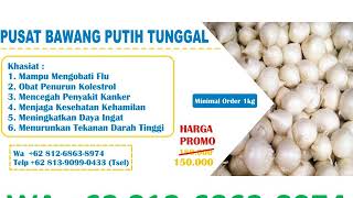 WA  62 812-6863-8974 | JUAL BAWANG PUTIH TUNGGAL DI PEKANBARU