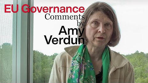 Political Institutions of the EU: Comments by Amy Verdun