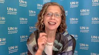 Keynote: Inger Andersen, Executive Director, UN Environment Programme - GRT 2020