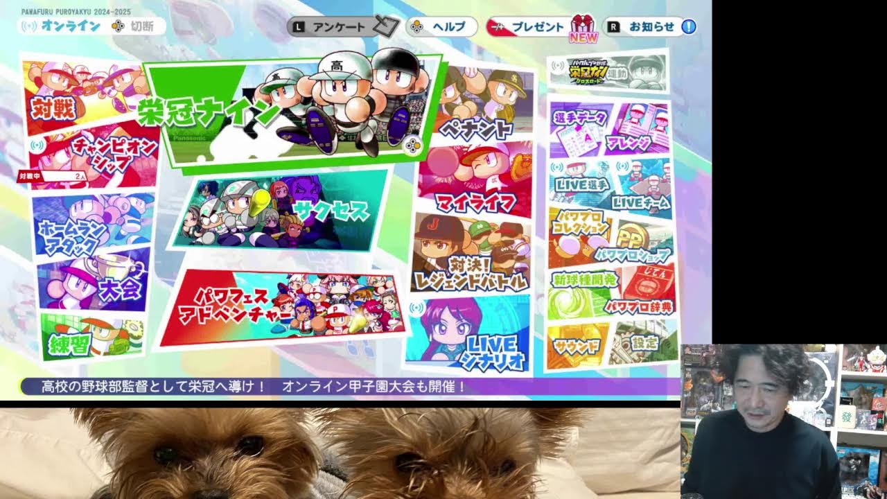 ありがとうございます。