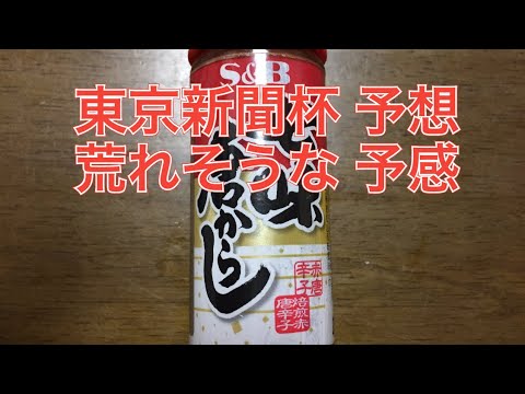 原付 サラリーマン 荒れ模様の東京新聞杯 予想 スロリーノ