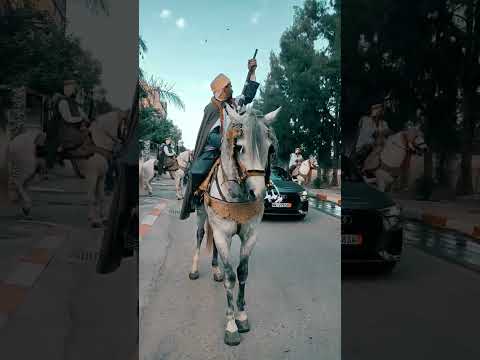 أحلى كورتاج جزائري
