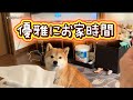 外は、雨!そんな時は〜【お家時間】