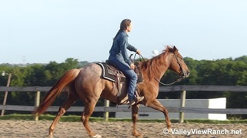 Kaceebar Red Berry - mount, easy jog, lead changes, big stops! - ValleyViewRanch.net
