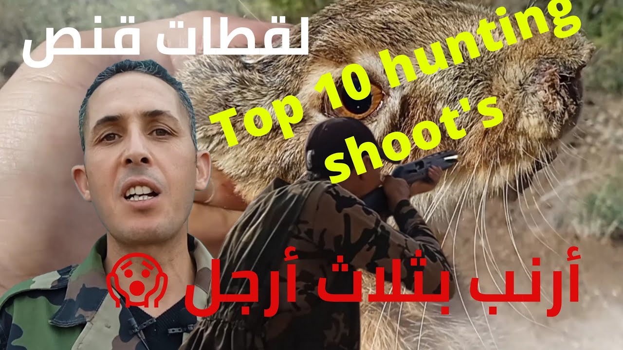 أحسن لقطات القنص لهذا الموسم Top 10 hunting shoot's (hunting season