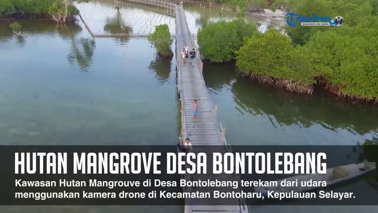 VIDEO DRONE: Keindahan Hutan Mangrove di Desa Bontolebang Kepulauan Selayar