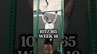 107/365 #fitness #motivation #pullups #calisthenics