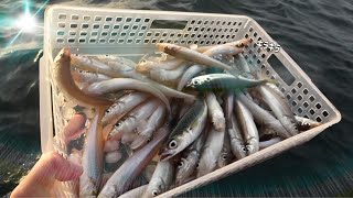 I was hungry so I went fishing on a boat, ended up catching too many. Lol