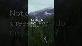 Practice breathwork & body scanning