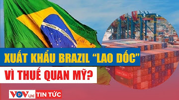 Xuất khẩu Brazil “lao dốc” vì chính sách thuế mới của Mỹ? l VOV Live