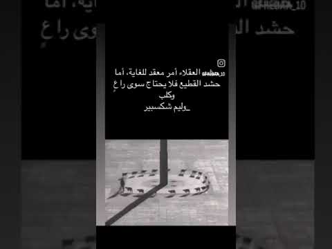 حشد الغباء سهل تحتاج راعي رجل دين وكلب متشدد ملحد  الله  سنة كافر