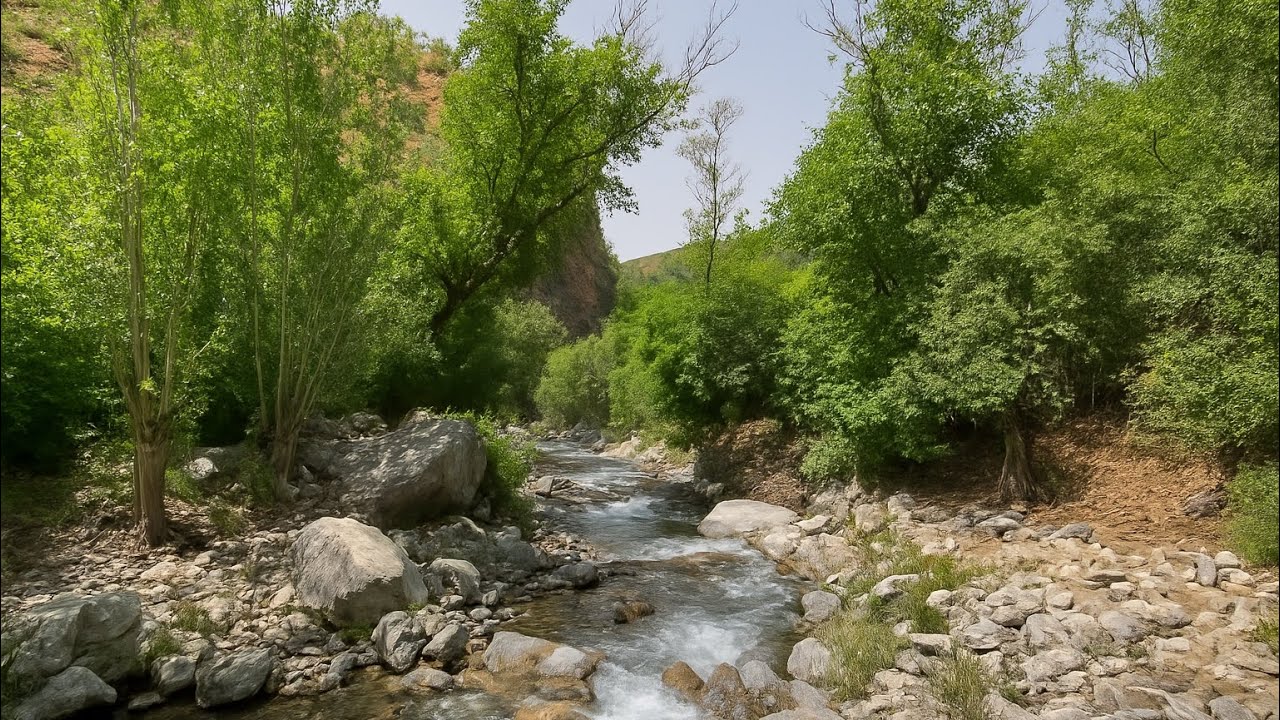 گەلی سەکران