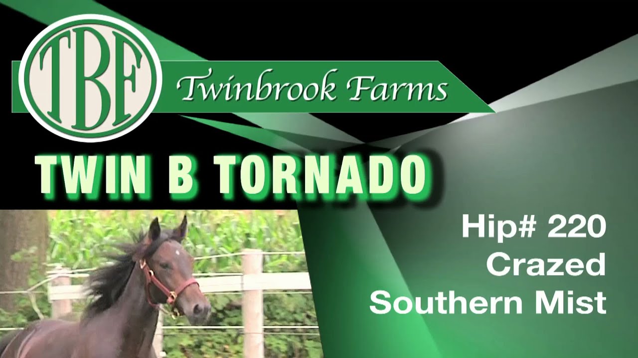 H220 Twin B Tornado LSYS Twinbrook YouTube