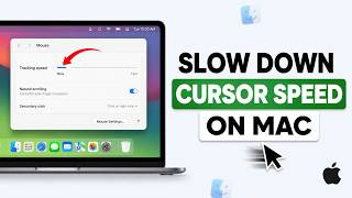 How to Slow Down Cursor Speed on Mac