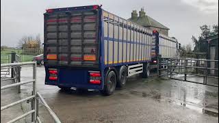 Tradeforus Cattle Lorry