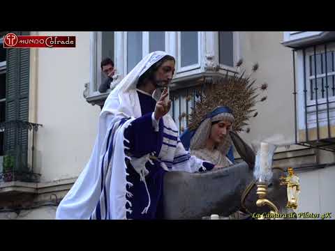 Real Cofradía de Nuestro Padre Jesús a su Entrada en Jerusalén y María Santísima del Amparo