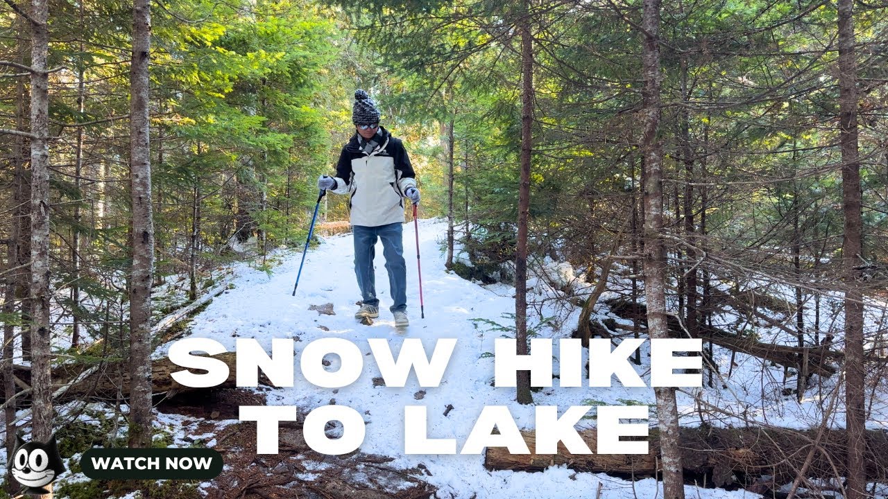 Walking Through Winter Silence | Winter Hiking by the Frozen Lake | Snow, Sun and Ice Waves