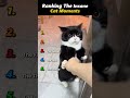 Ranking The Insane Cat Moments 😂💀 #shorts #cats #cats #funny #ranking #cutecats #viralcat