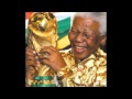 Nelson mandela tribute