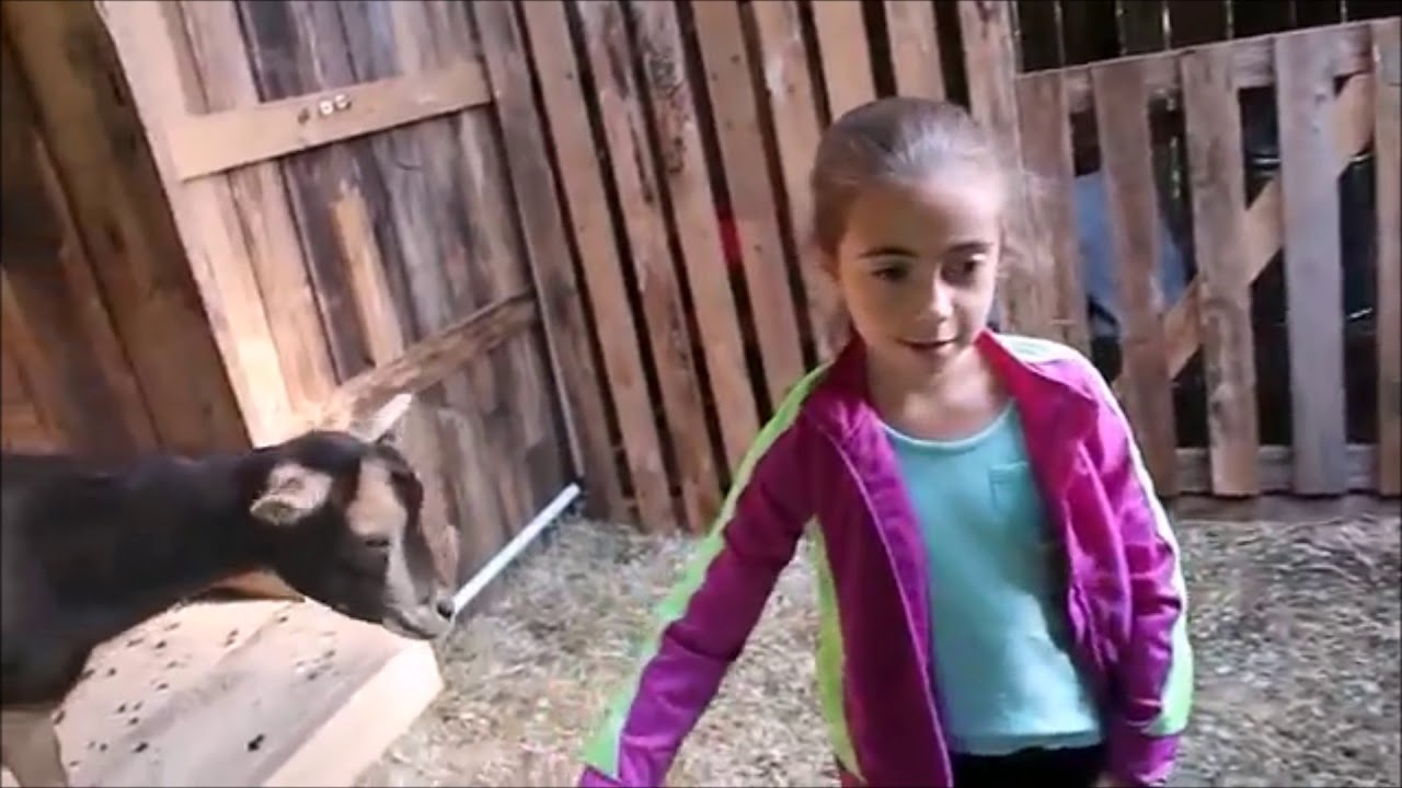 Raising Meat Goats for Beginners