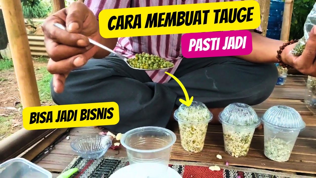 Cara membuat toge di Aqua Gelas