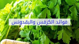 فوائد الكرفس والبقدونس