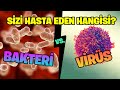 Bakteri ve Virüs: Sizi Hasta Eden Hangisi? Aralarındaki Farklar Neler?