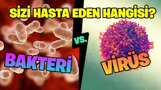 Bakteri ve Virüs: Sizi Hasta Eden Hangisi? Aralarındaki Farklar Neler?