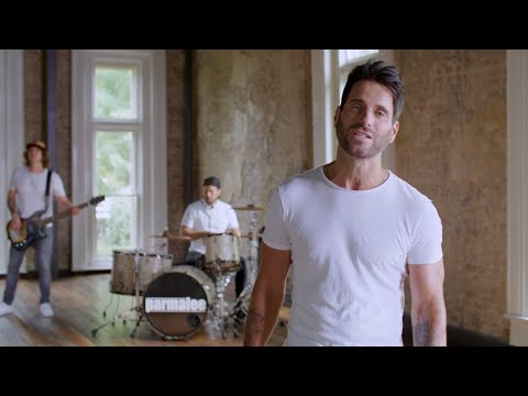 Parmalee - Take My Name (Visualizer)