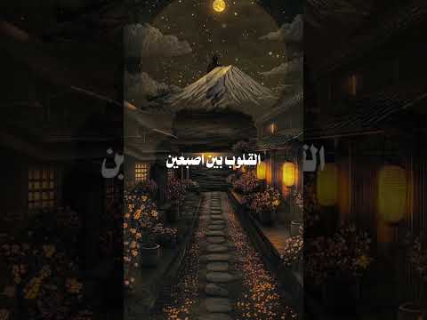 إذا وقعت عينك على صاحب ذنب نصائح كلام من القلب التعلم الممتع   