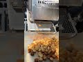 Panipuri Fryer Machine | 5 मिनट में 100 क्रिस्पी गोलगप्पे – देखकर यकीन नहीं होगा!"