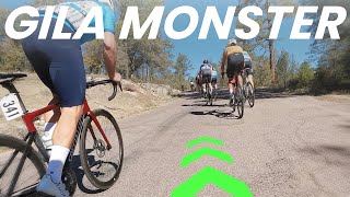 I Can’t Believe This Happened On The Final Stage (Tour of the Gila - Stage 5 Road Race)