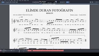 Eli̇mde Duran Fotoğrafin - Bergen Nota