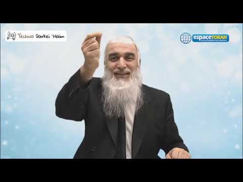 181. Traduire la Torah en termes de vie