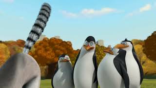 Julien Gets His Head Stuck In A Tree