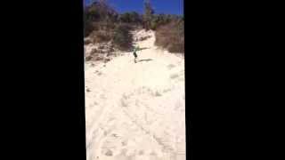 Sand Boarding