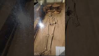 2000Bc Skeleton Step Back In Time Nearly Four Millennia And Witness A Respect