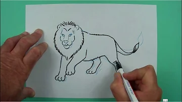 Wie kann man einen Löwen zeichnen?