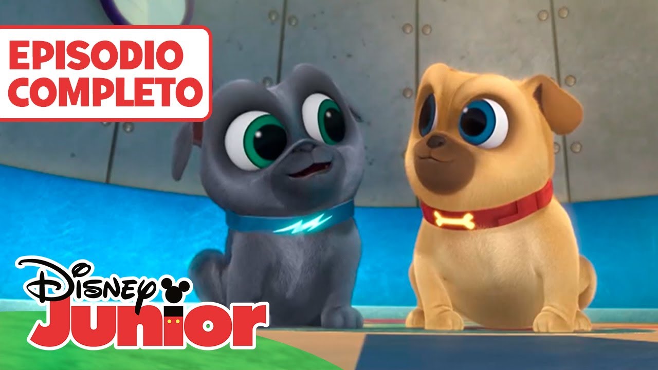 BINGO Y ROLLY: Atrapa a un ladrón de pan 🐶🥖 | EPISODIO COMPLETO ...