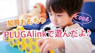知育おもちゃPLUGO link で遊んでみたよ⭐️ I played with educational toys