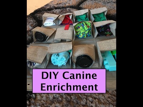 diy/homemade-food-puzzle-toy-for-dogs---shoe-holder