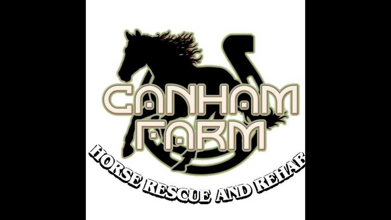 5 Horse Myths That Make My Eyes Roll